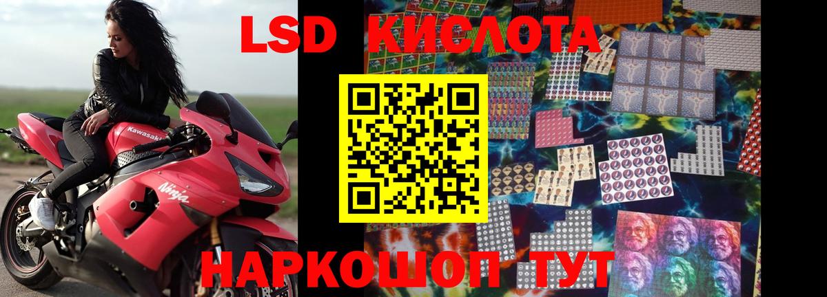 Новозыбков  ЛСД экстази ecstasy  ЛСД экстази  блэк спрут как войти  Вход с VPN  LSD-25 экстази кислота 