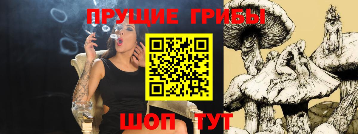 Галлюциногенные грибы GOLDEN TEACHER  Вход с VPN  наркота  Новозыбков 