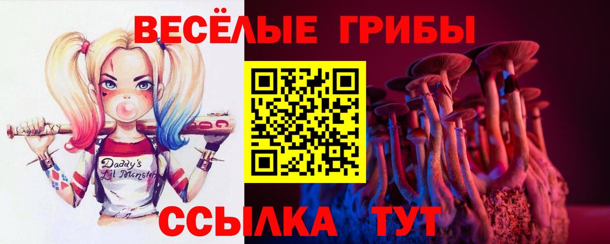 Галлюциногенные грибы MAGIC MUSHROOMS Новозыбков